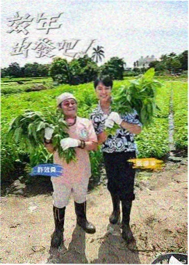 声音的工作纪实海报